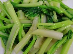-锦粤宫·精致粤菜(深圳北站店)