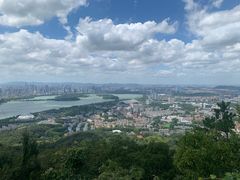-紫金山天文台
