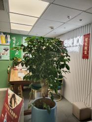 -章光101防脱养发荟