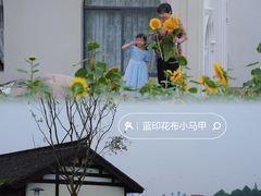 -杭州湾海上花田景区