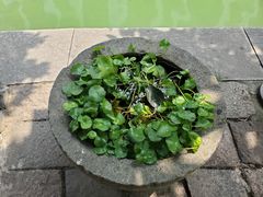 -衣裳街历史文化街区