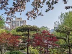 -海棠花溪(元大都城垣遗址公园)
