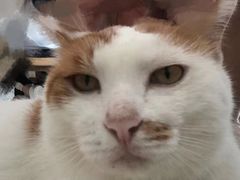 -平行世界·猫咖(首经贸店)