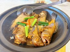 -欢乐海岸美食联盟