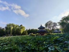-莲池书院博物馆