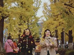 -百林公园-两江幸福广场