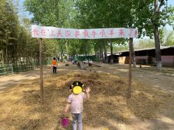 -上美四季动物农场