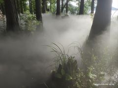 -东湖落雁景区