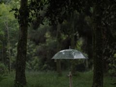 -杭州植物园