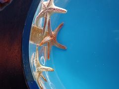-西安曲江海洋极地公园