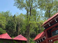 -原山国家森林公园