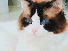 -百信宠物医院(东升街店)