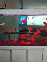 -成都军建医院·疤痕诊疗中心