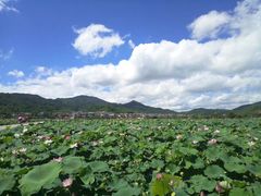 -古田会议纪念馆