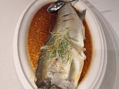 -古韵轩·园林餐厅