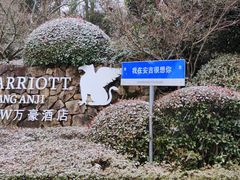 -浙江安吉JW万豪酒店·万豪中餐厅