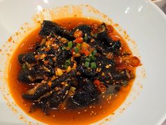 -红鼎豆捞·专注品质海鲜20年(宝丰路店)