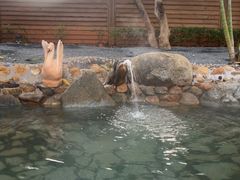 -龙佳生态温泉山庄