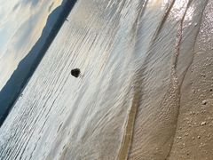 -后海村
