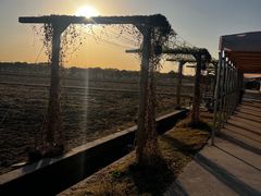 -嘉北郊野公园