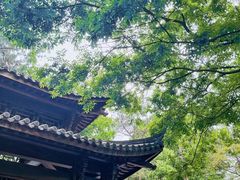 -灵顺寺