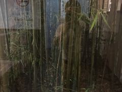 -渔堂公园餐厅·本帮菜(乐园路店)