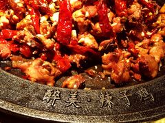 -天山醉美辣子鸡(文艺路店)