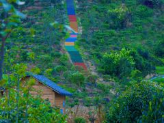 -九龙江国家森林公园