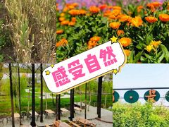 -前小桔亲子创意农场·草莓采摘·露营烧烤