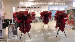 -扬州龙摄影·全球旅拍(维扬路总店)
