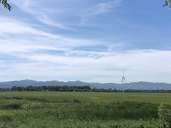 -野鸭湖国家湿地公园