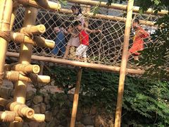 -杭州开元森泊度假乐园