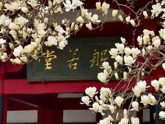 -大慈恩寺(大雁塔)