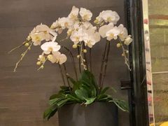 -上海大宁福朋喜来登酒店大堂吧(共和新路店)