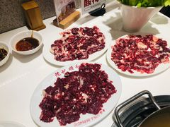 吊龙-陈记顺和潮汕牛肉火锅(韩江路店)