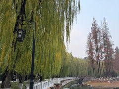 -温江公园