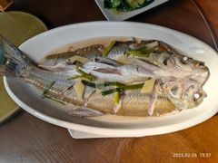 清蒸白丝鱼-观桥阁(锦溪店)