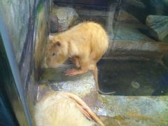 -福州罗源湾海洋世界旅游区