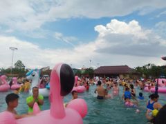 -美的鹭湖探索王国