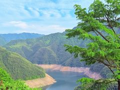-四明山国家森林公园
