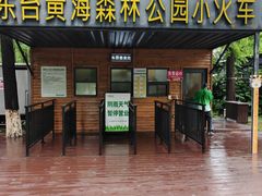 -黄海国家森林公园