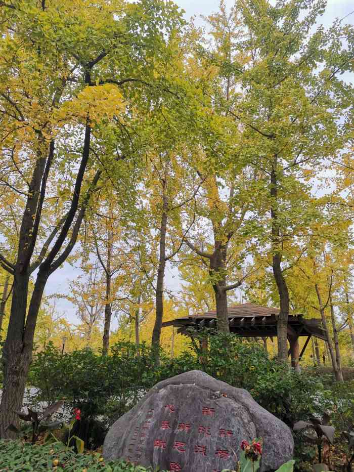 黄兴绿地-"98黄兴绿地9802很大02 03也很."-大众点评移动版