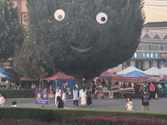 -特克斯八卦城