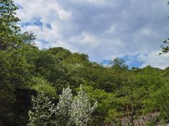 -大岭沟猕猴桃谷风景区