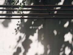 -拾壹cafe·工作室