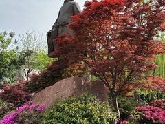 -望江楼公园