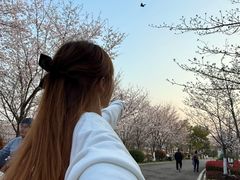 -花博汇(知音花月夜)