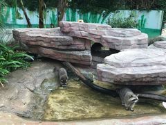 -泉州海丝野生动物世界