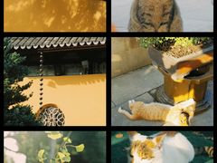 -西园戒幢律寺