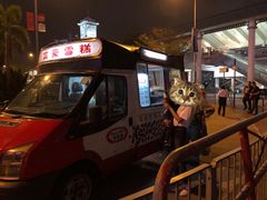 -富豪雪糕车流动点(尖沙咀店)